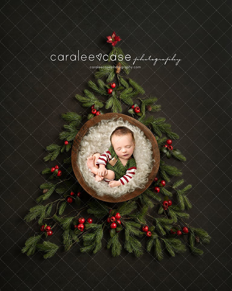 Digital Backdrop