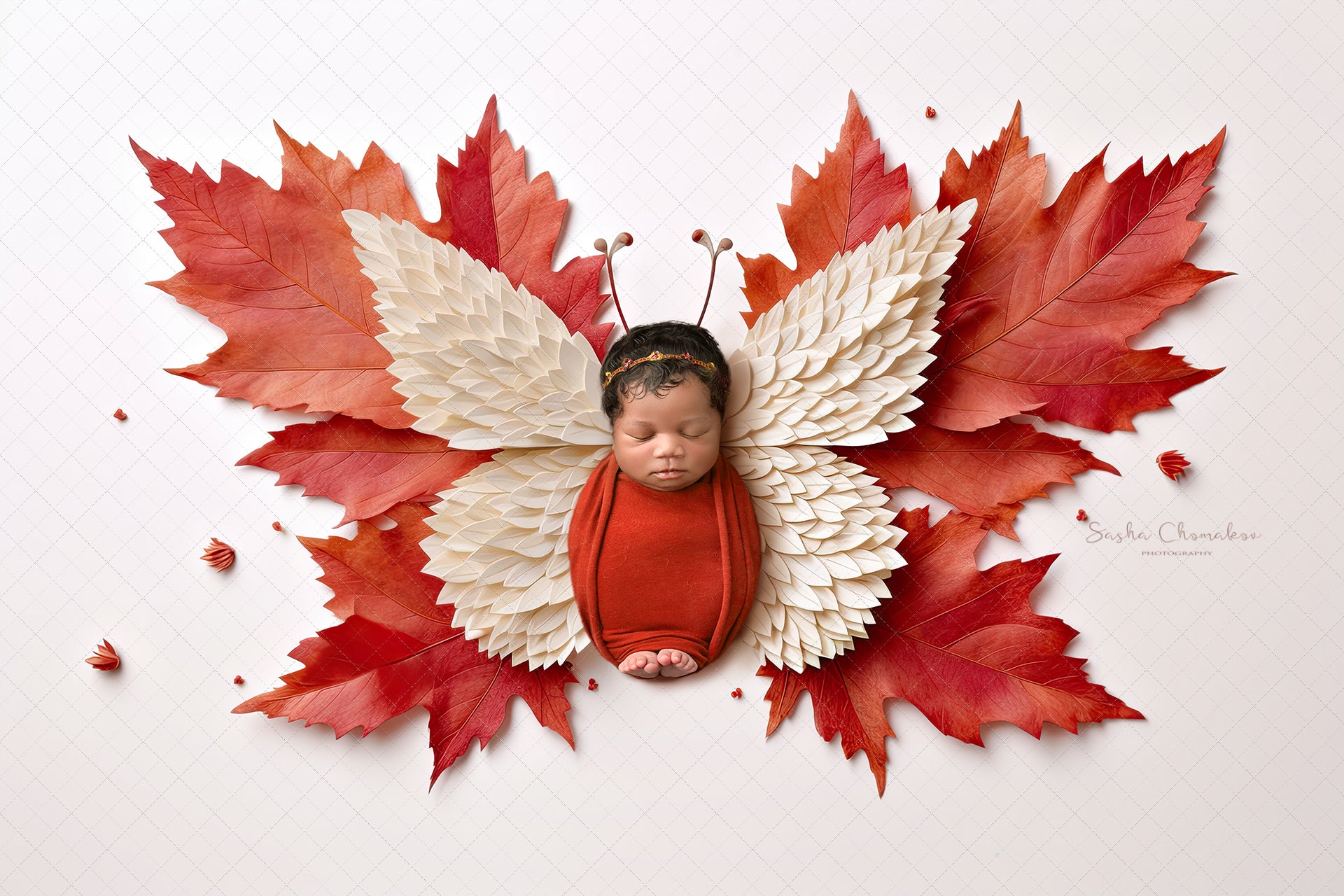 Digital backgrounds Canada Independence day patriotic butterflies Ai generated