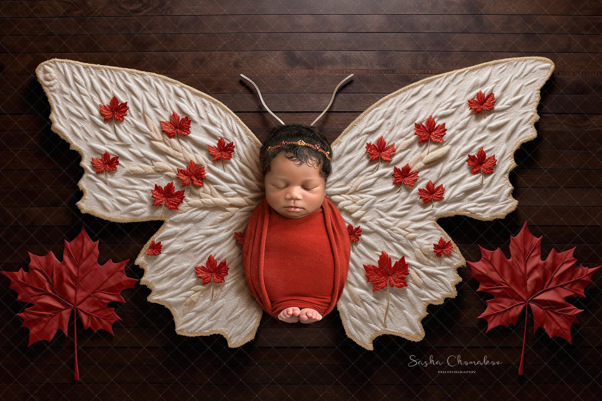 Digital backgrounds Canada Independence day patriotic butterflies Ai generated