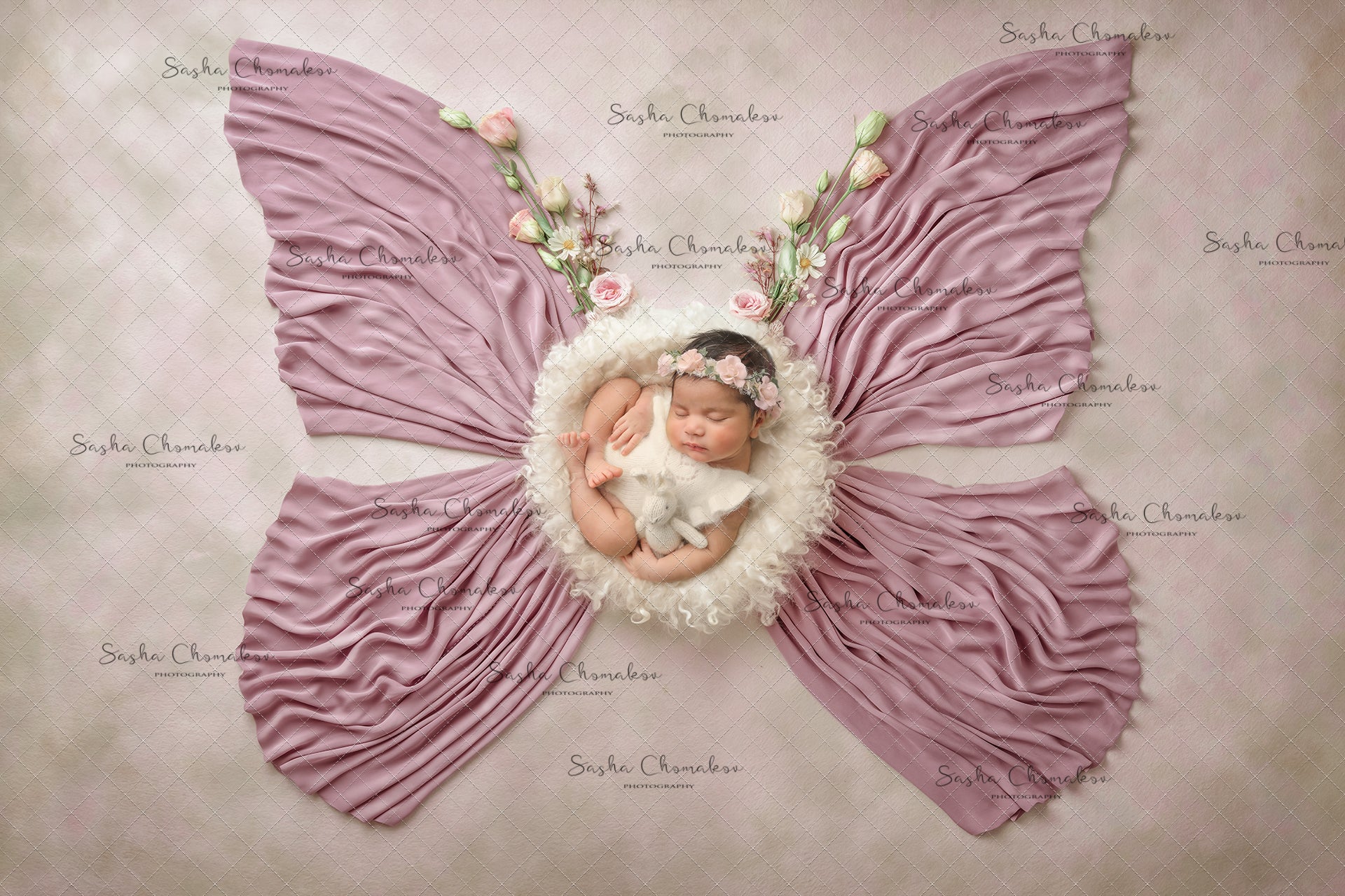 Digital Backdrop