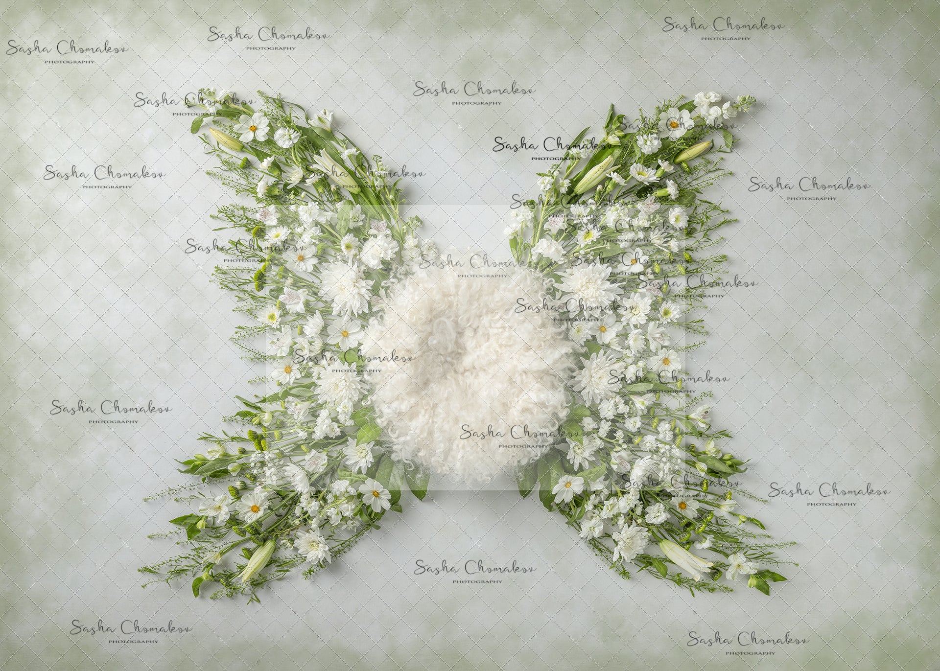 Digital Backdrop