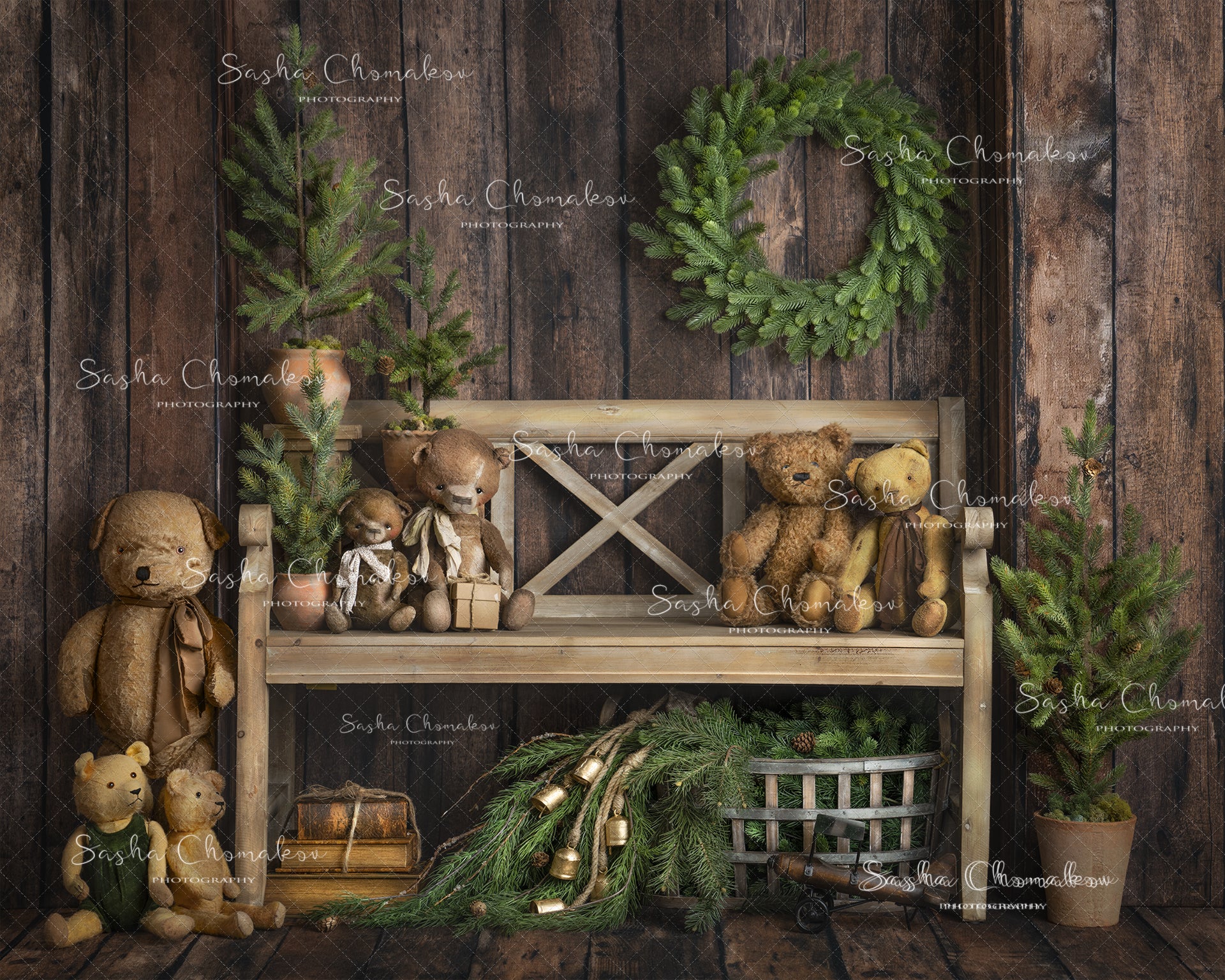 Digital Backdrop