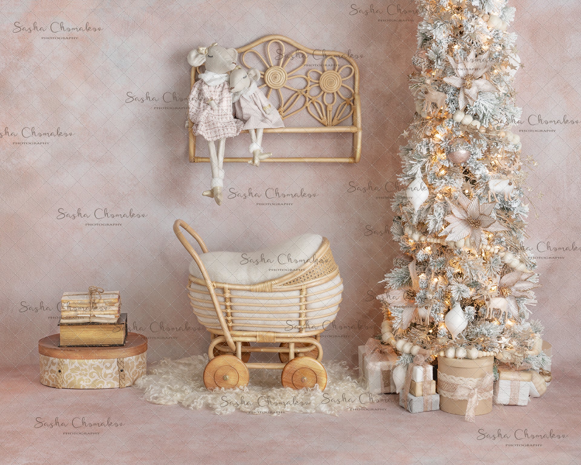 Digital Backdrop