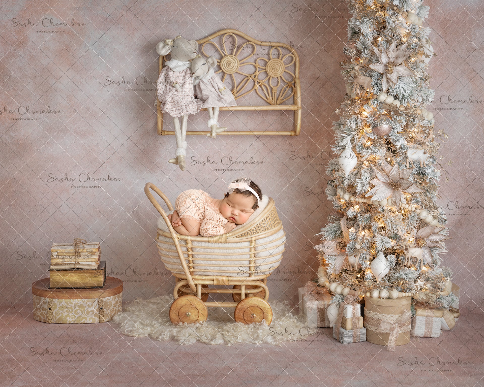 Digital Backdrop