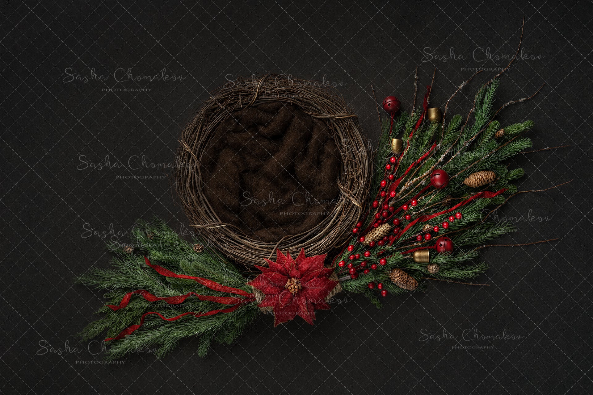 Digital Backdrop