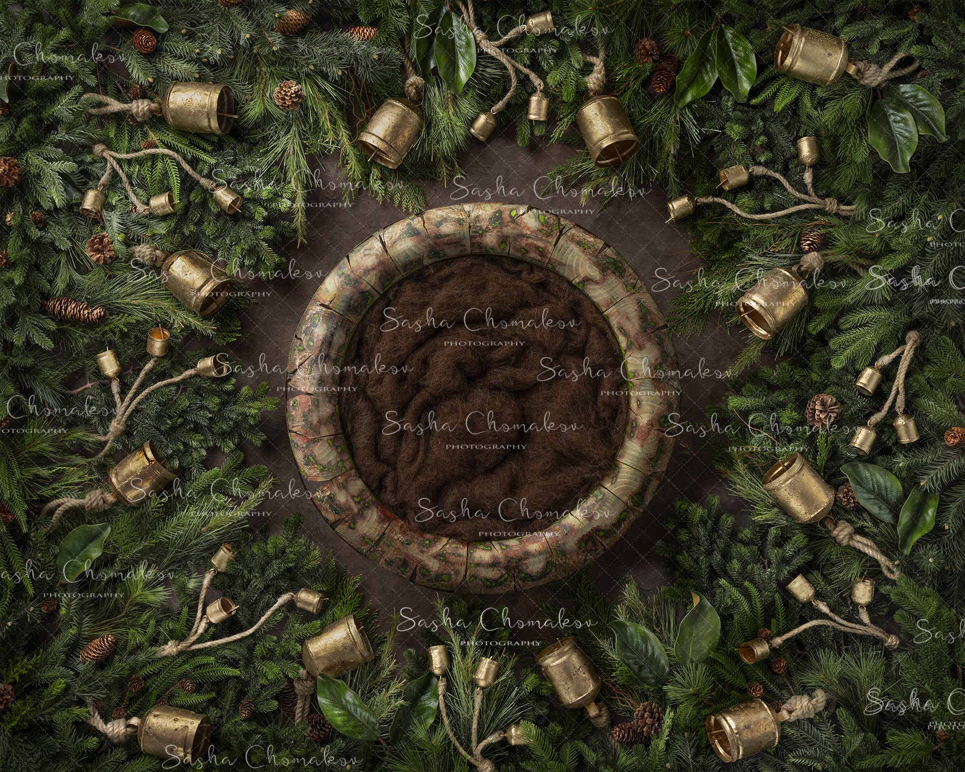 Digital Backdrop