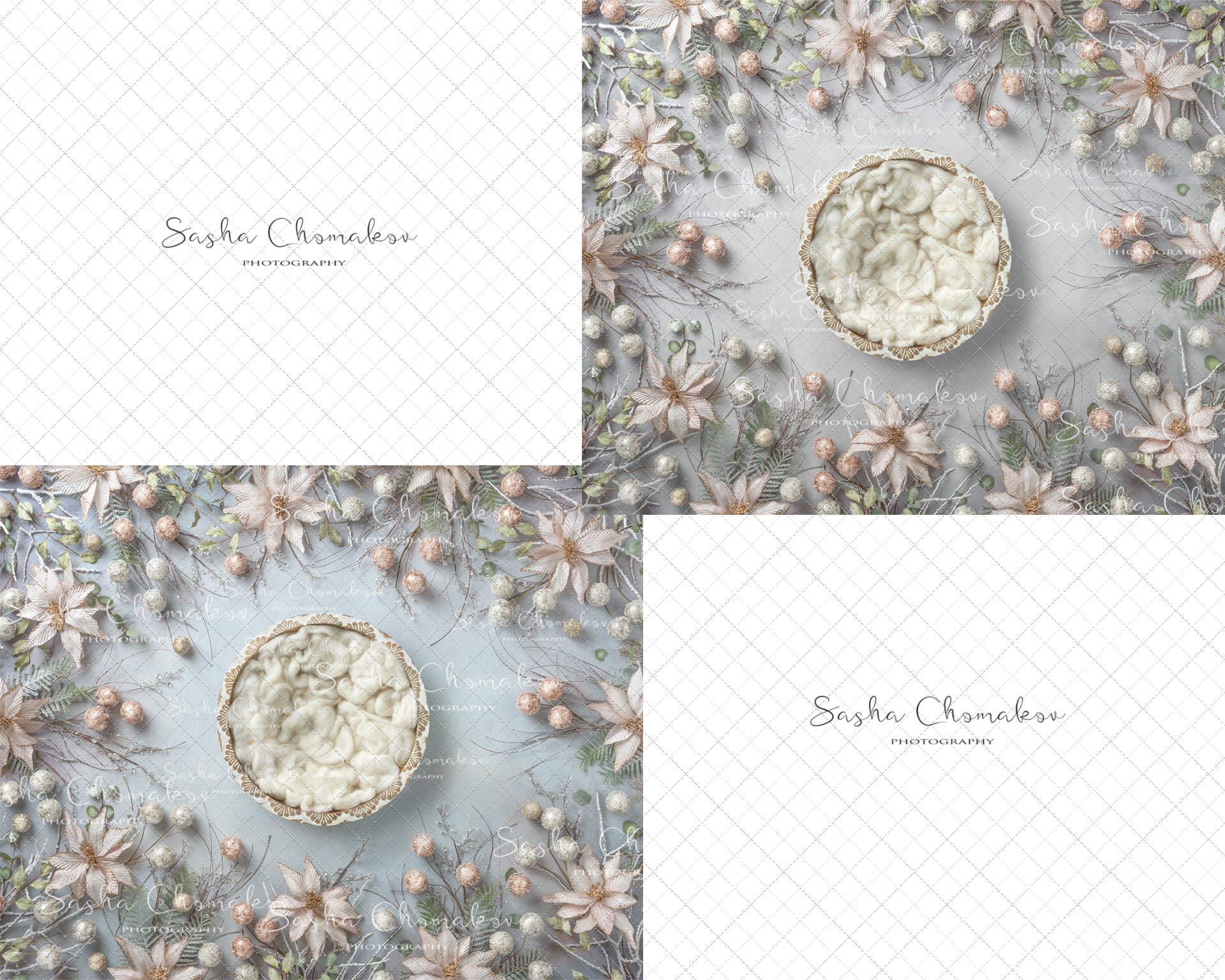 Digital Backdrop