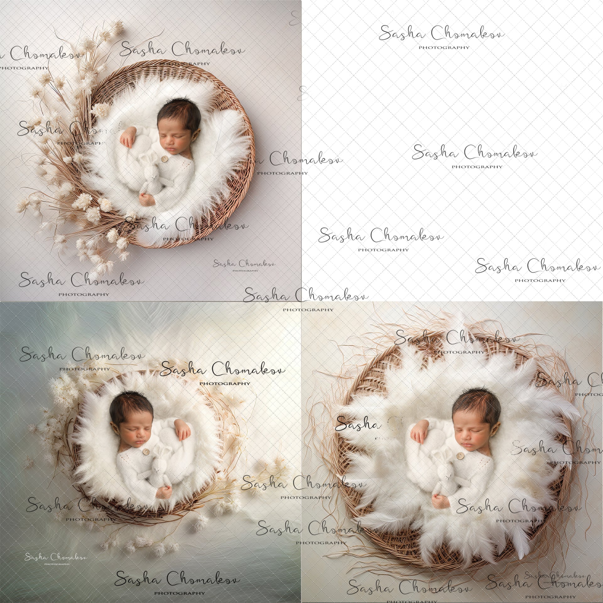 Digital Backdrops Ai generated cream boys 1