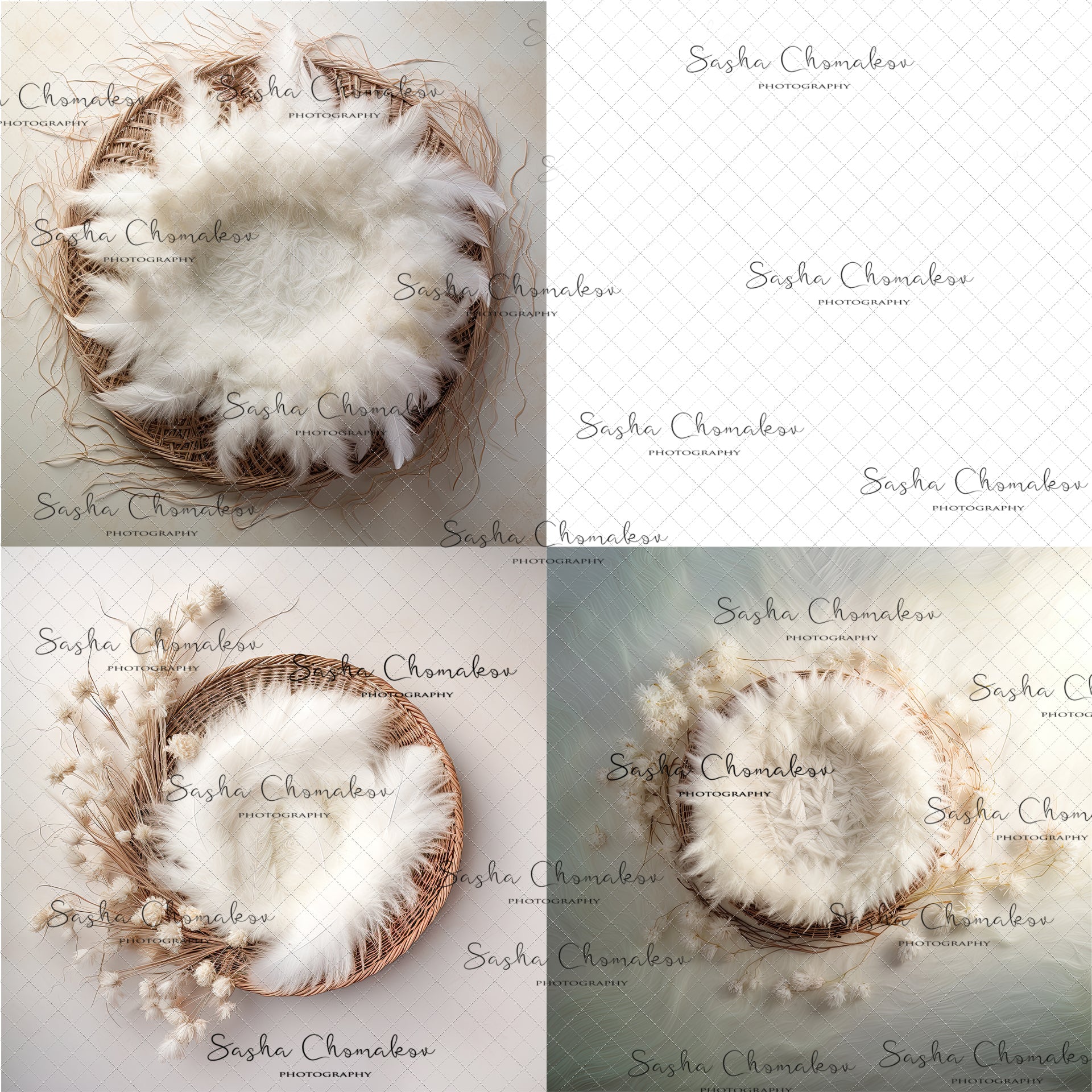 Digital Backdrops Ai generated cream boys 1