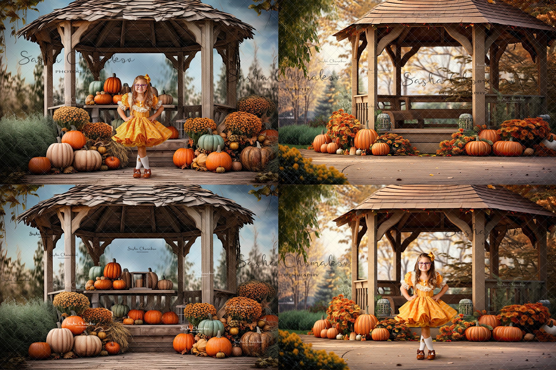 Digital backgrounds Ai generated pumpkins at night with bokeh Fall 23