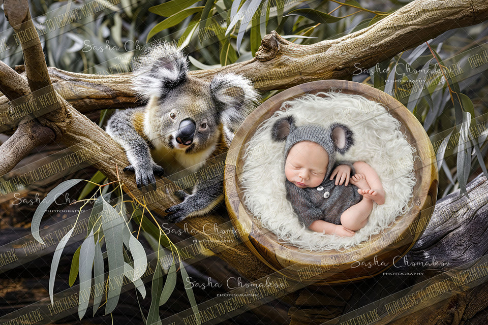 Copy of Digital  background overhead zoo wild animals Ai generated koala