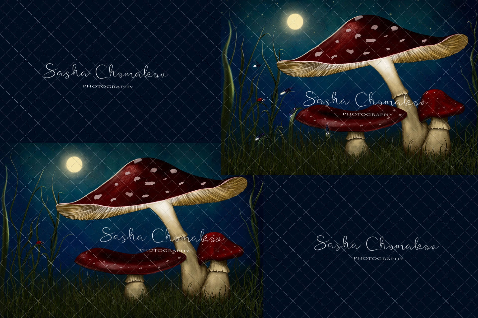Digital Backdrop