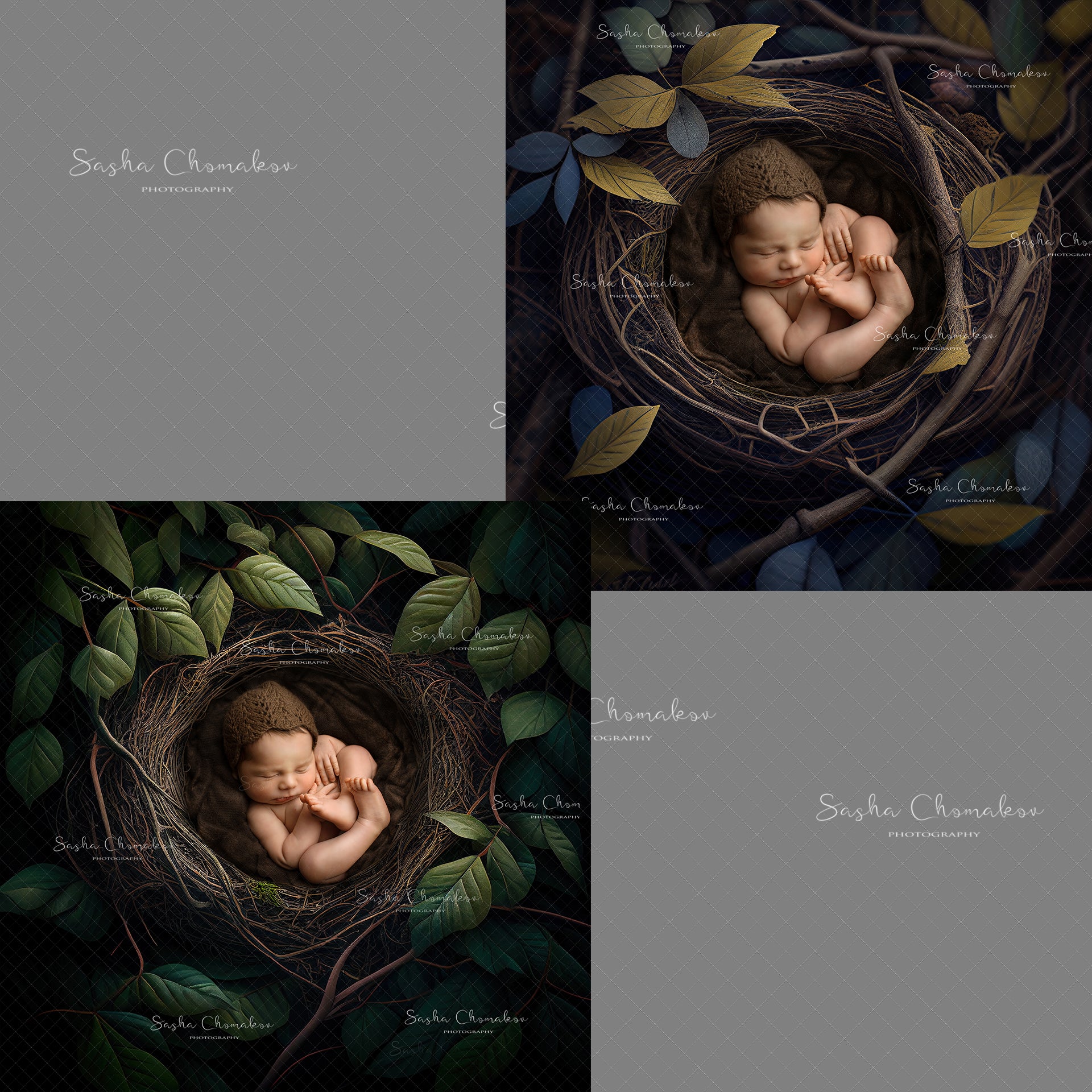 Digital Backdrop Ai generated