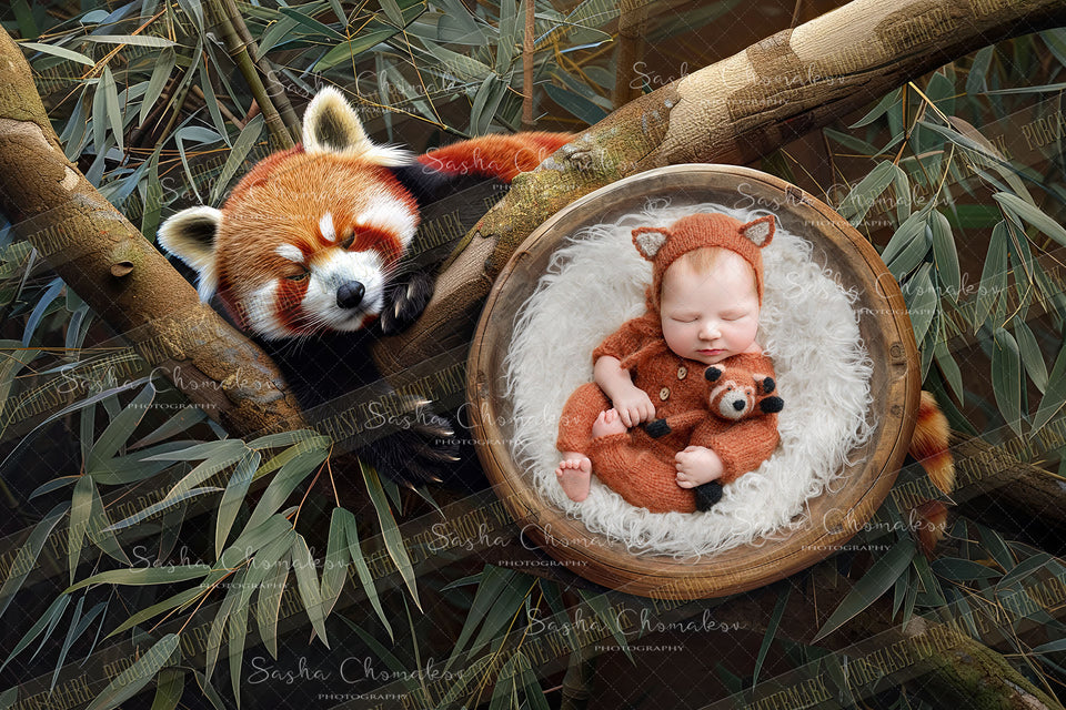 Digital  background overhead zoo wild animals Ai generated red panda