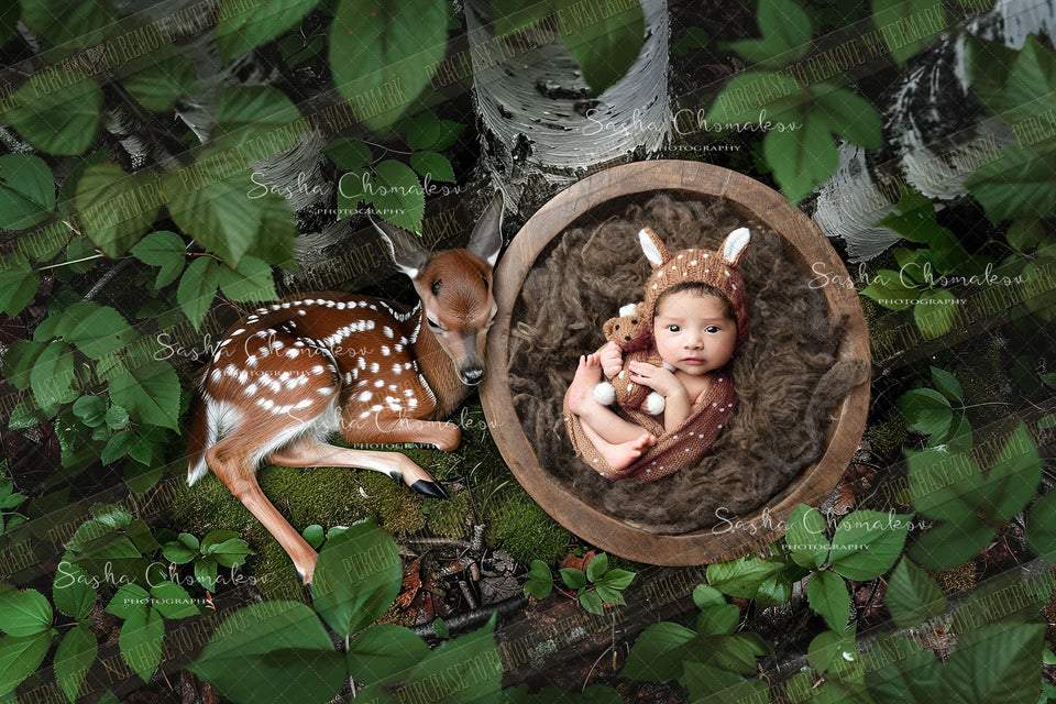 Digital  background overhead zoo wild animals Ai generated deer