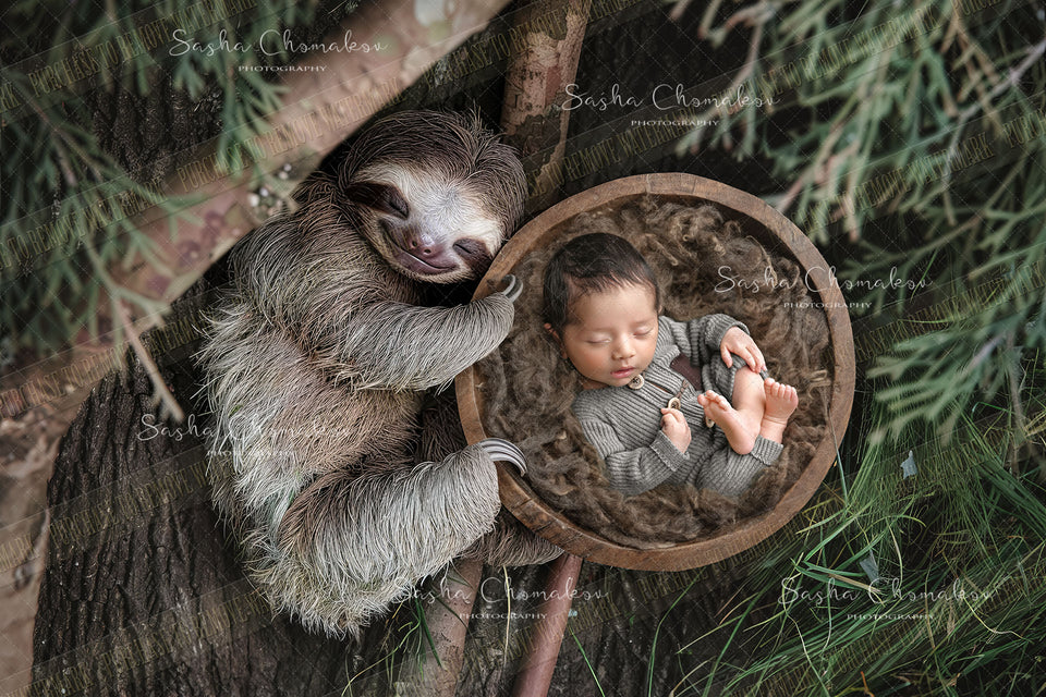 Digital  background overhead zoo wild animals Ai generated sloth