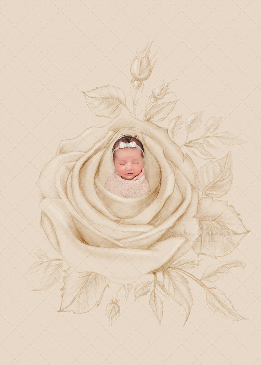 Digital Backdrop