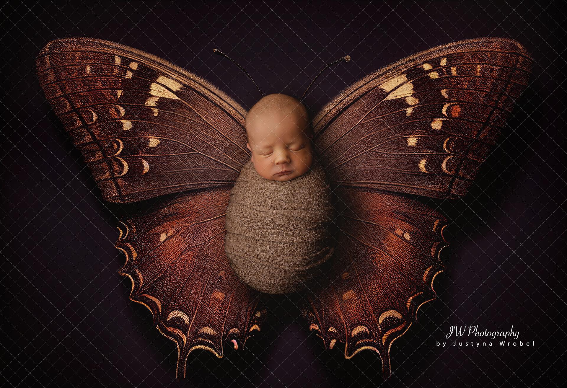 Backdrop butterflies dark brown and blues Ai generated