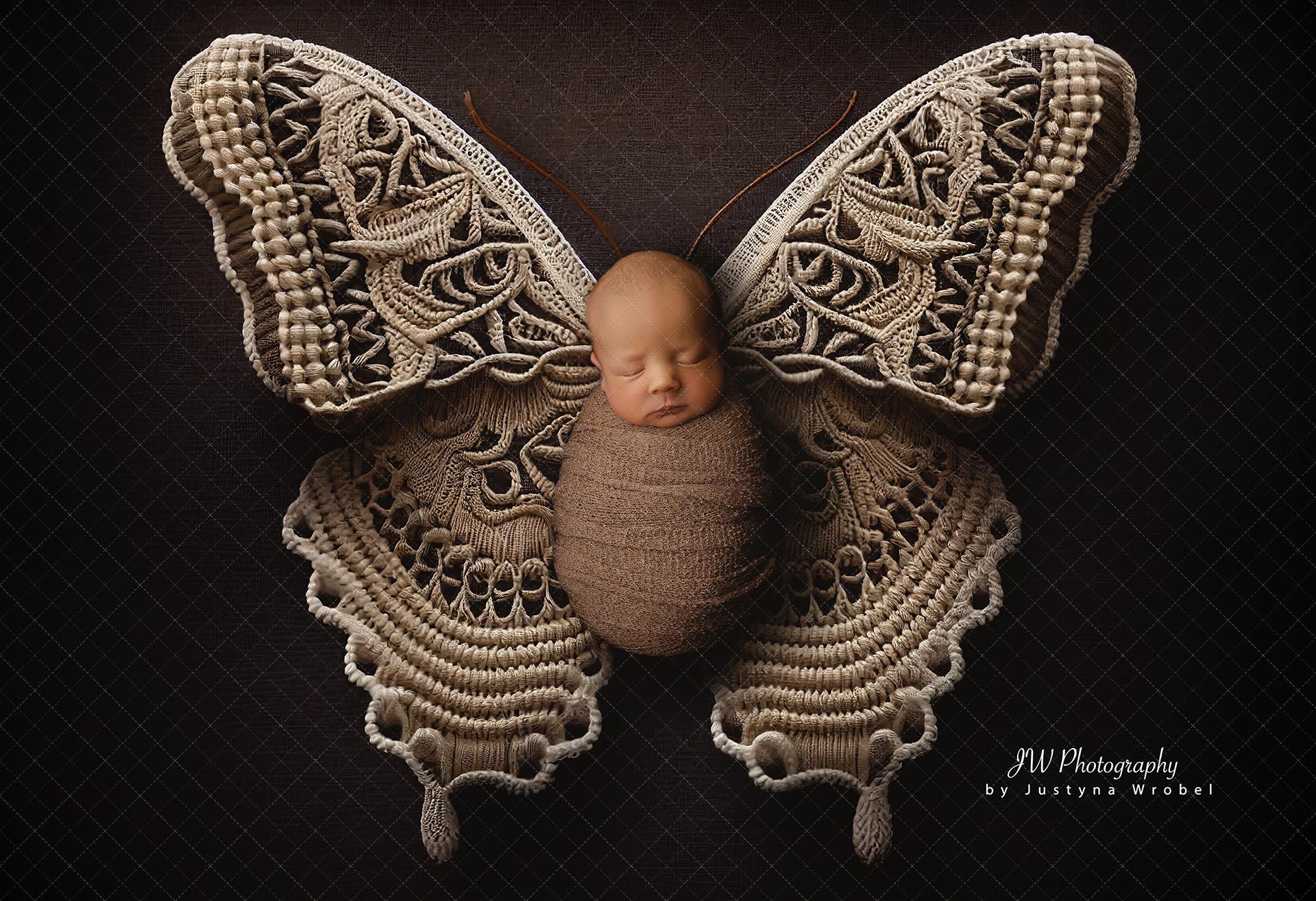 Backdrop butterflies boho butterflies 22 Ai generated