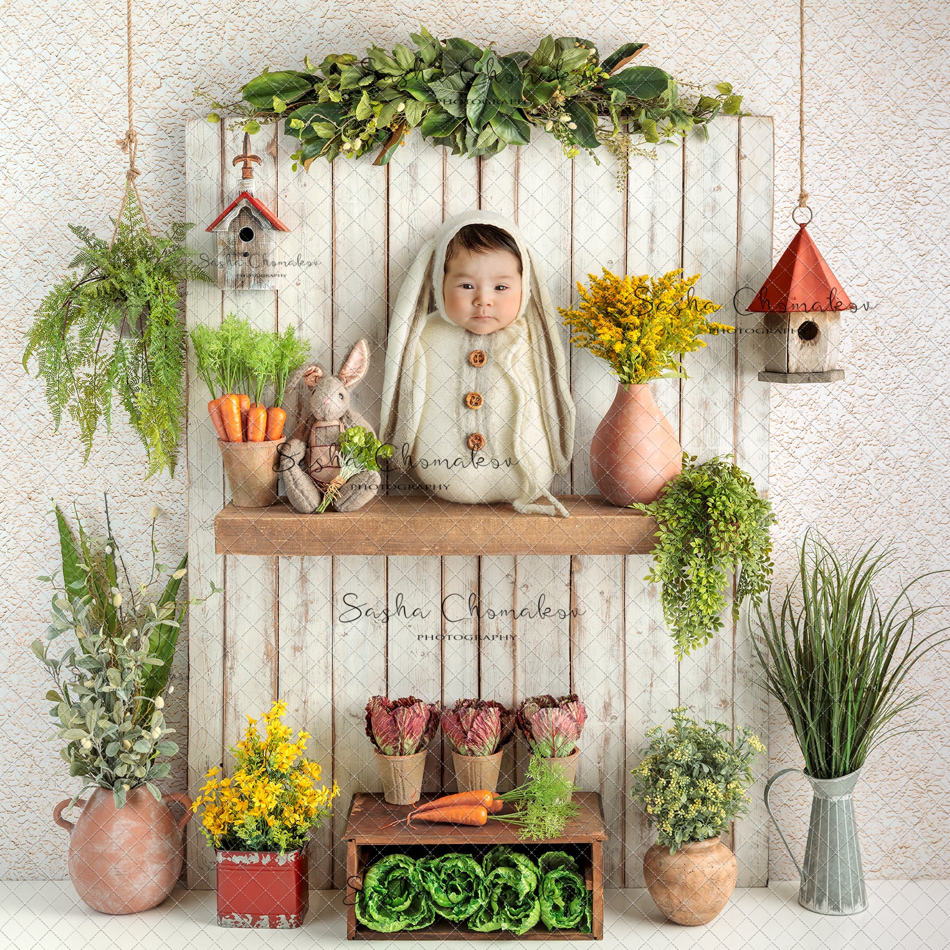 Digital Backdrop