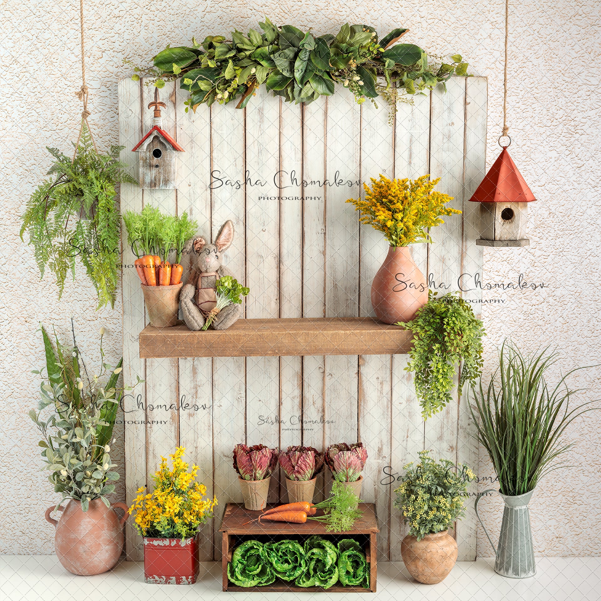 Digital Backdrop