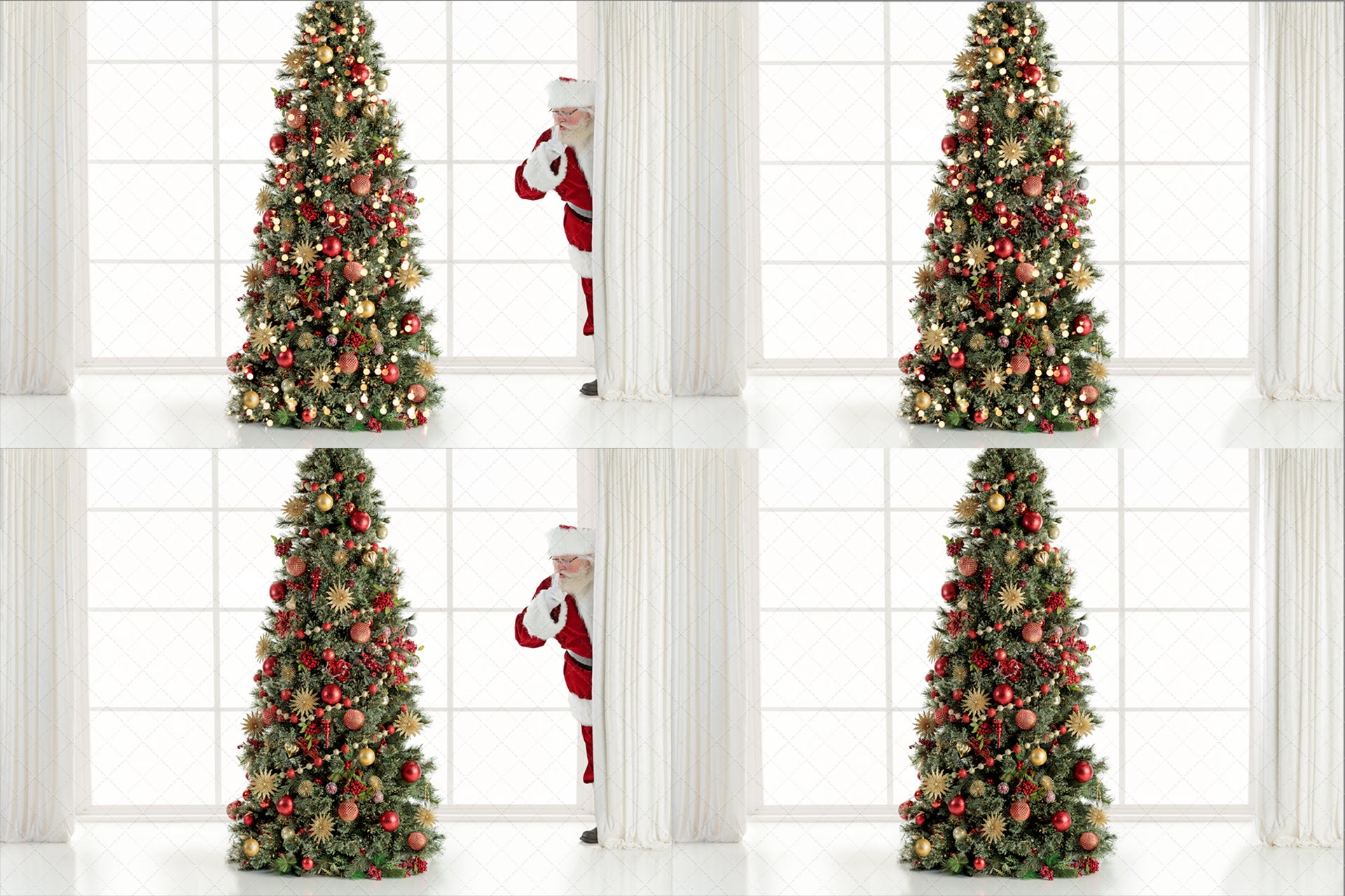 Digital Backdrop