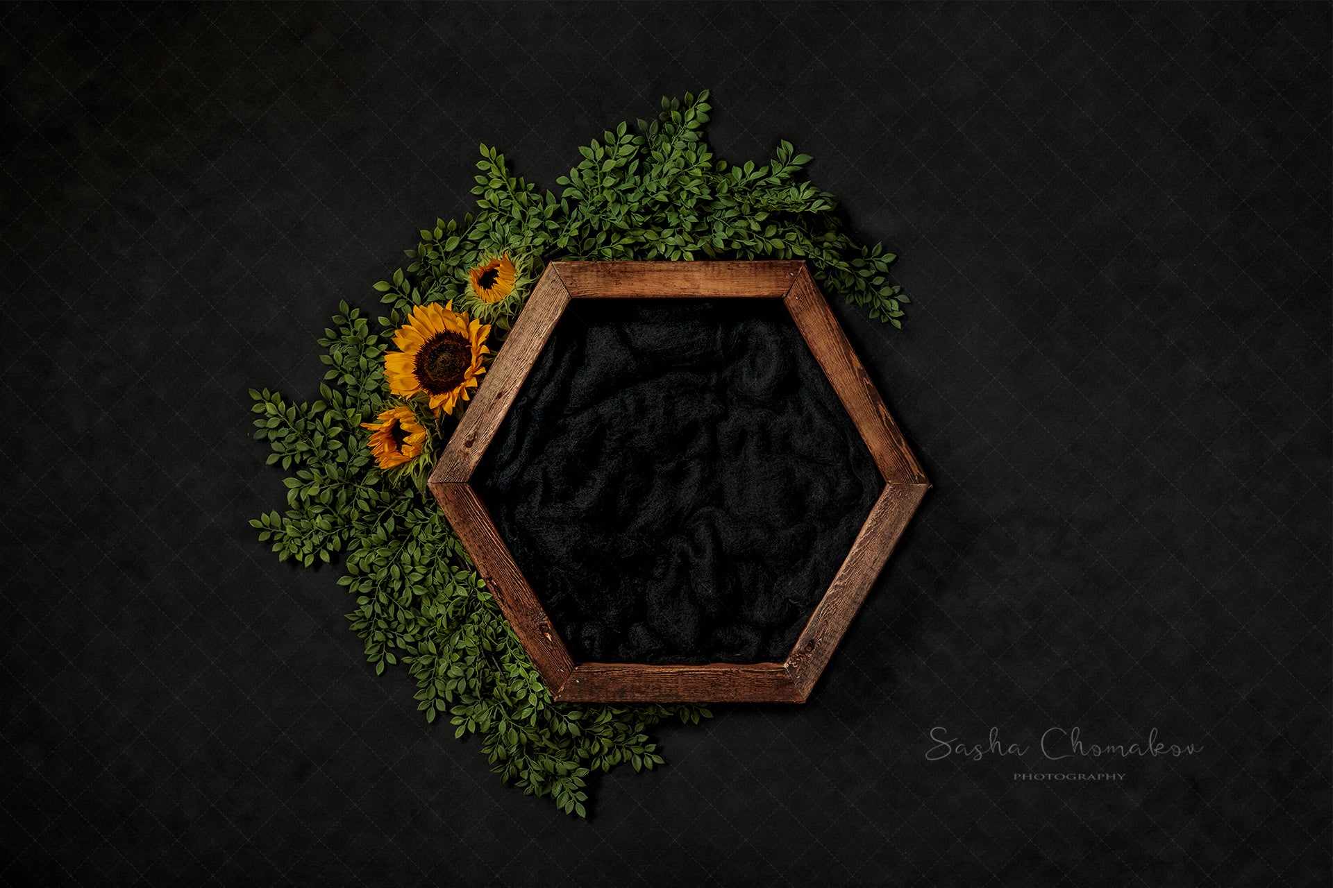 Digital Backdrop