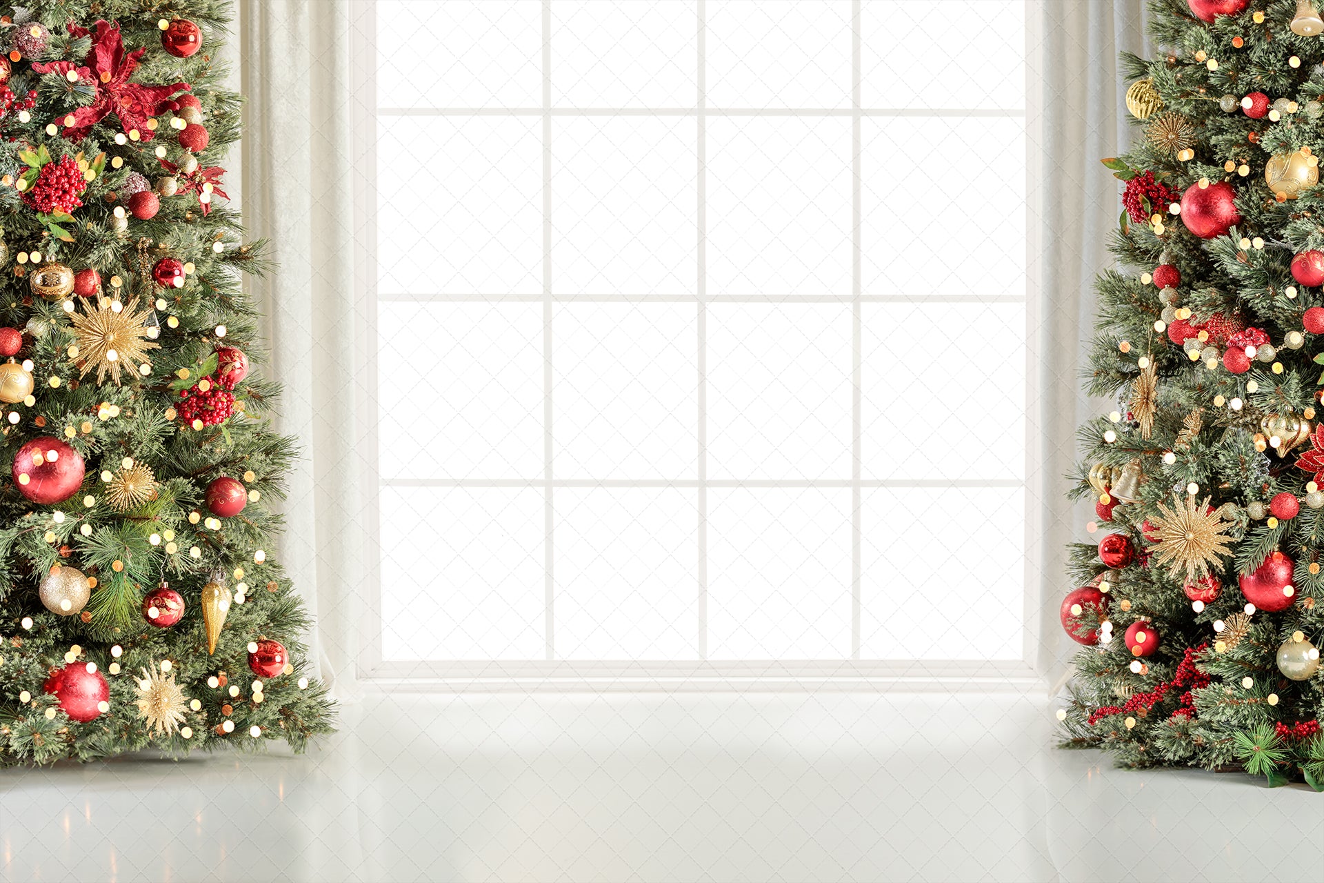 Digital Backdrop