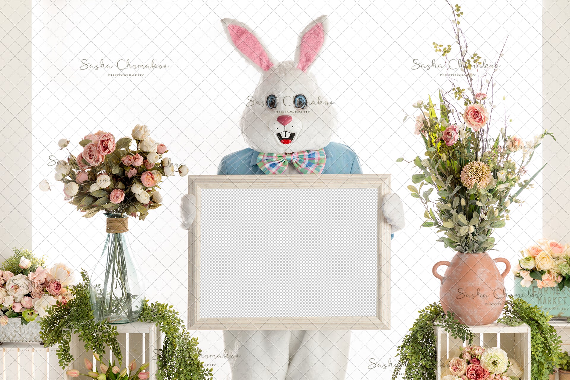 Digital Backdrop