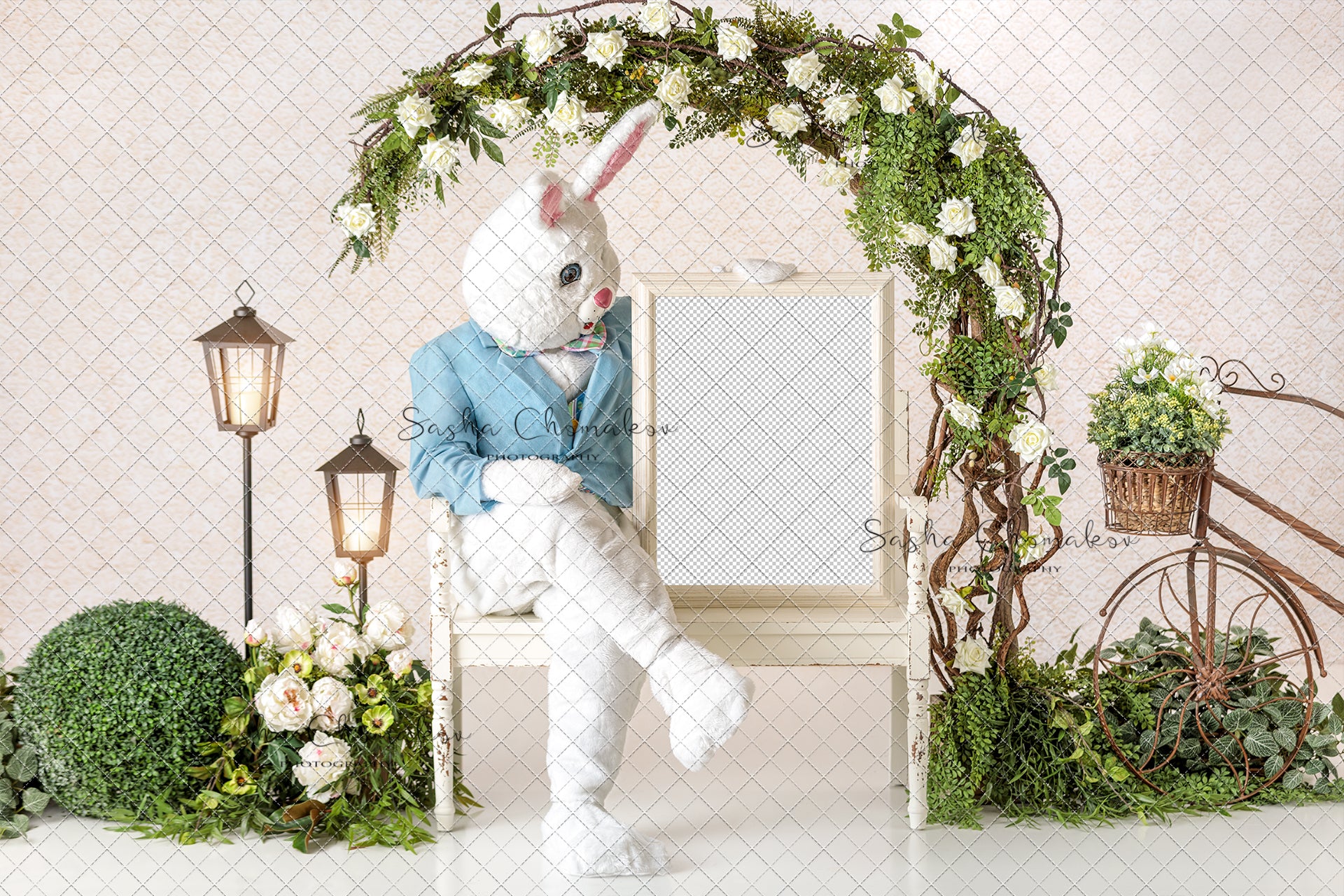 Digital Backdrop