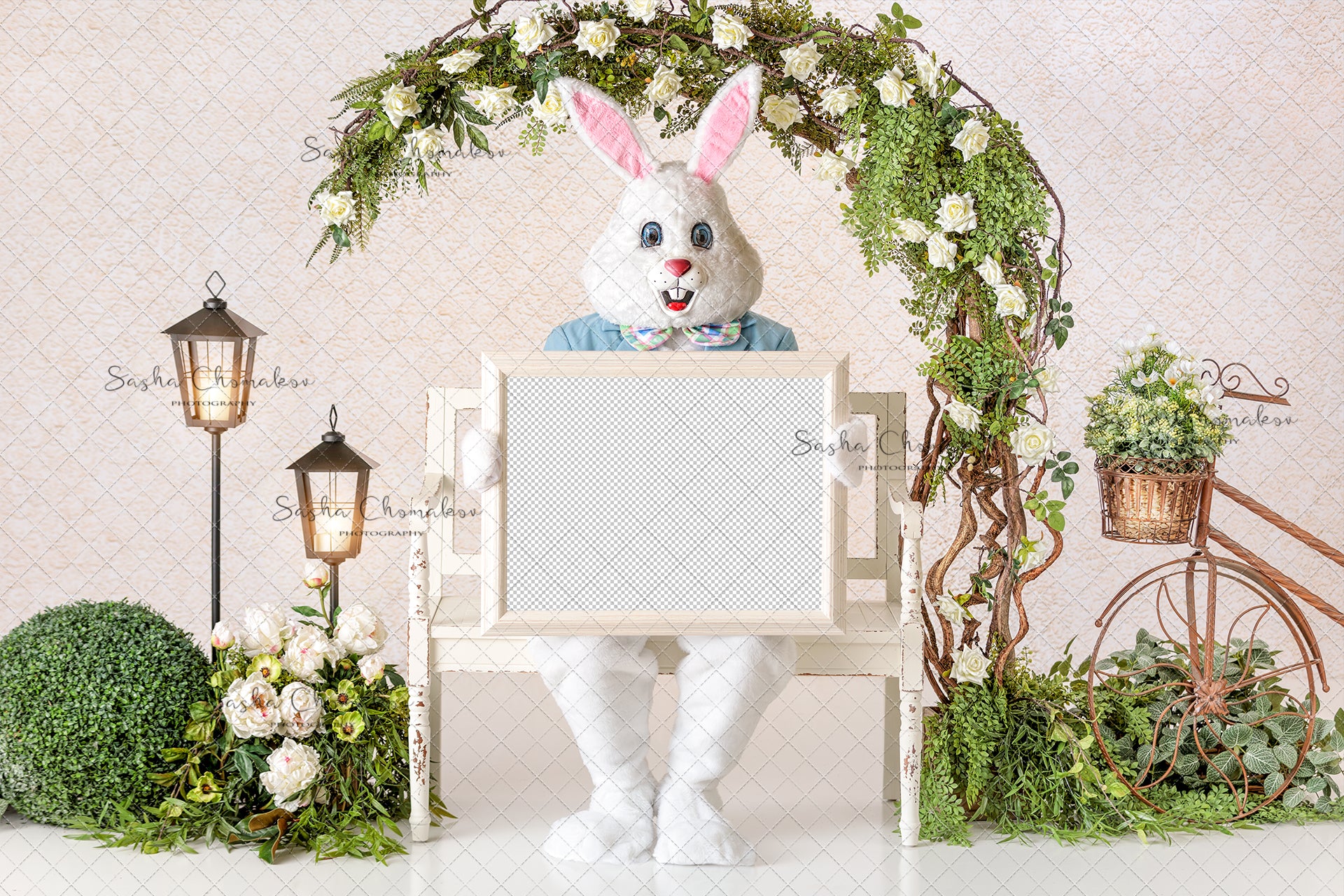 Digital Backdrop