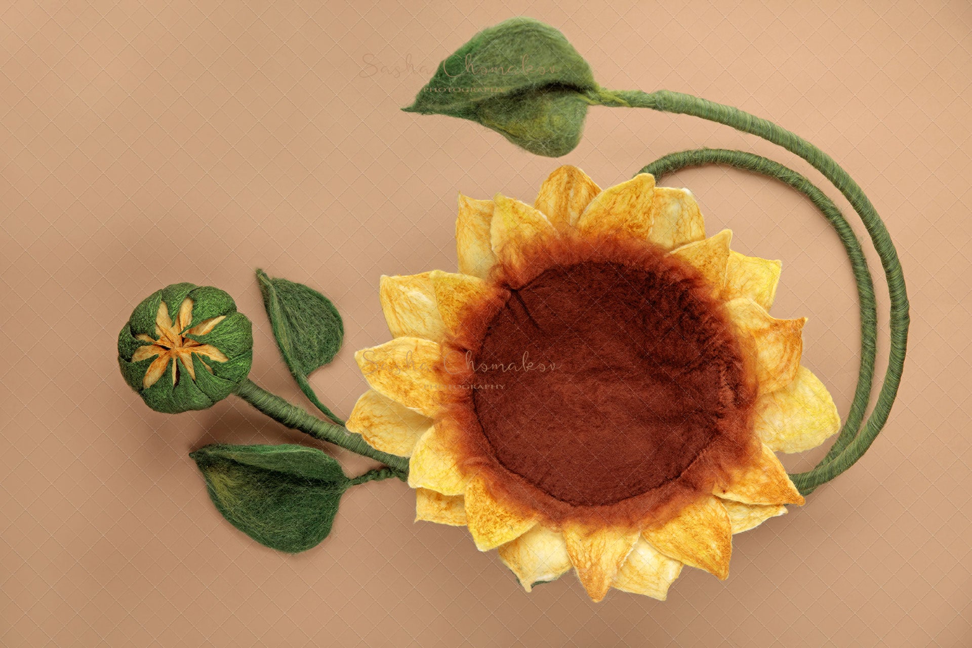 Digital Backdrop