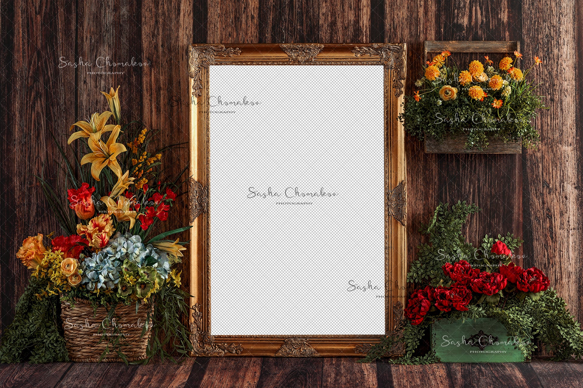 Digital Backdrop