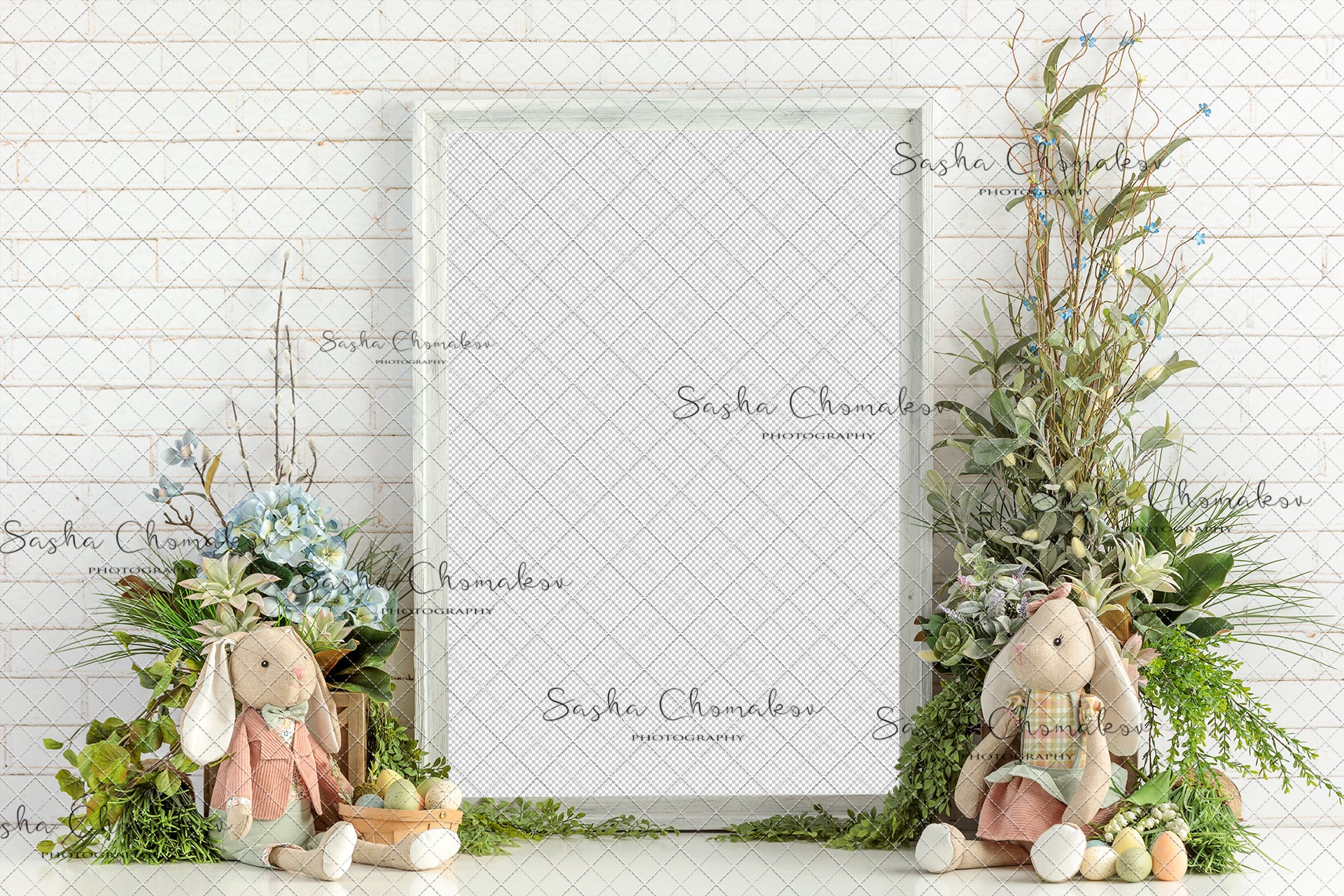 Digital Backdrop