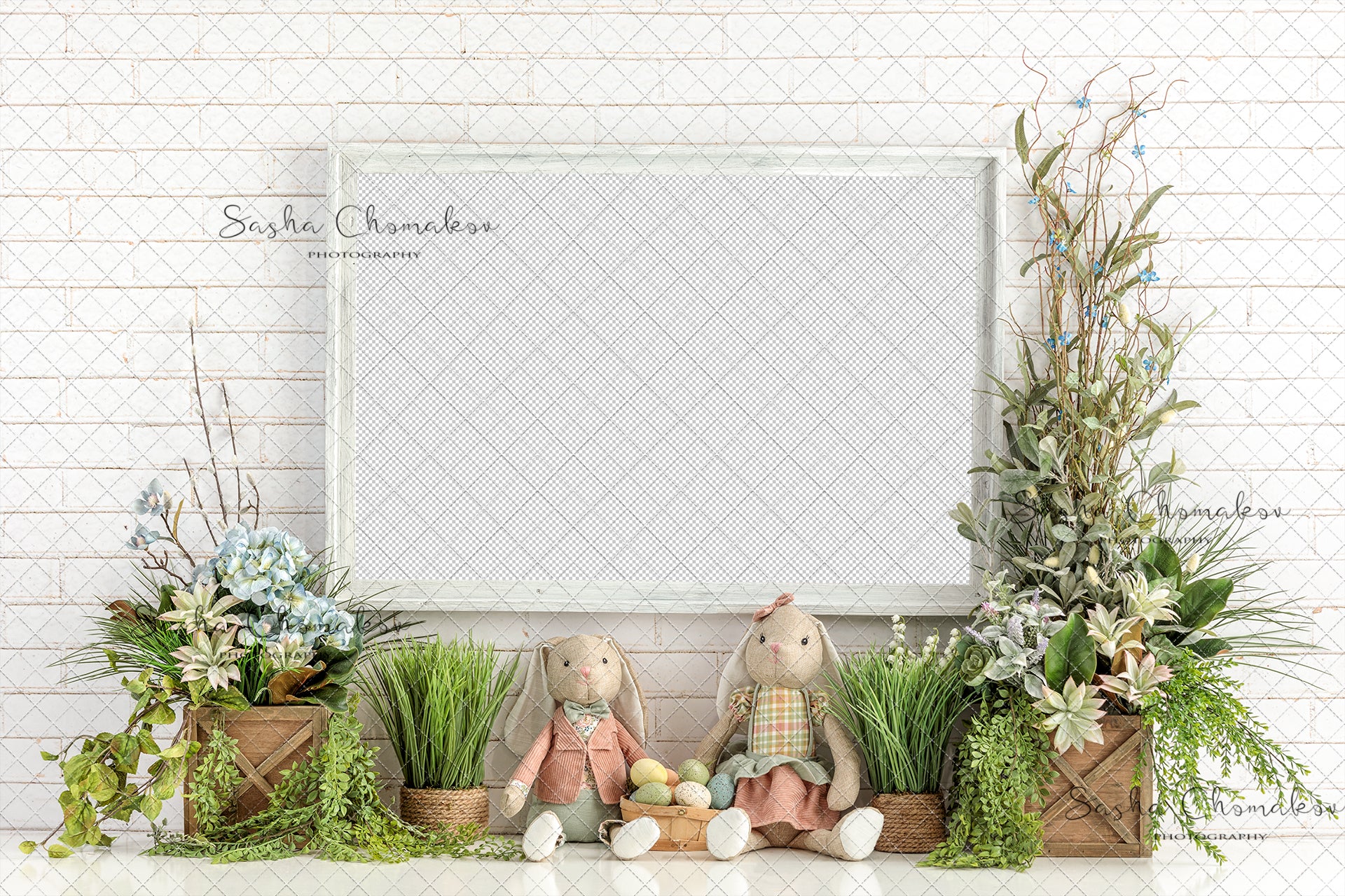 Digital Backdrop
