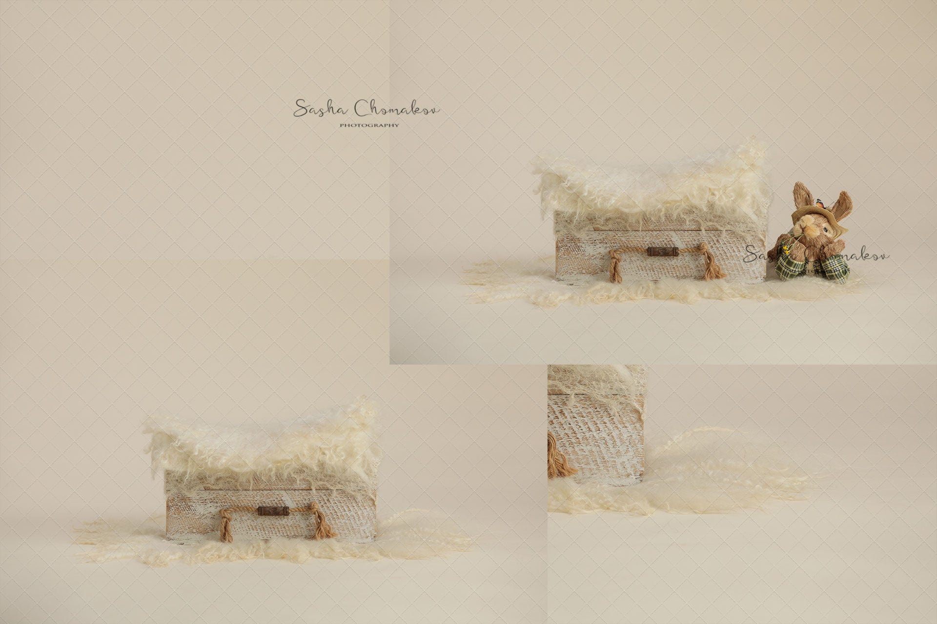 Digital Backdrop