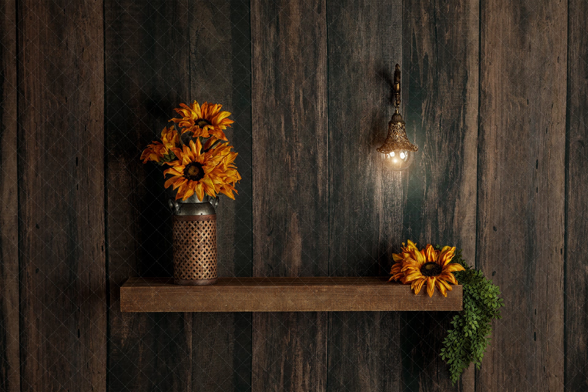 Digital Backdrop