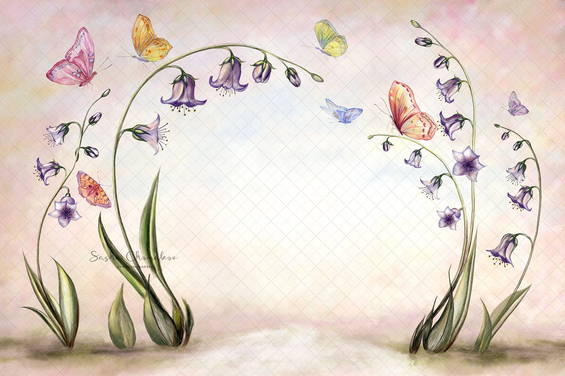Digital Backdrop