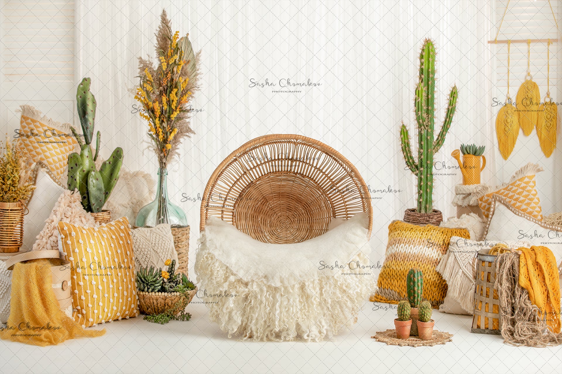 Digital Backdrop