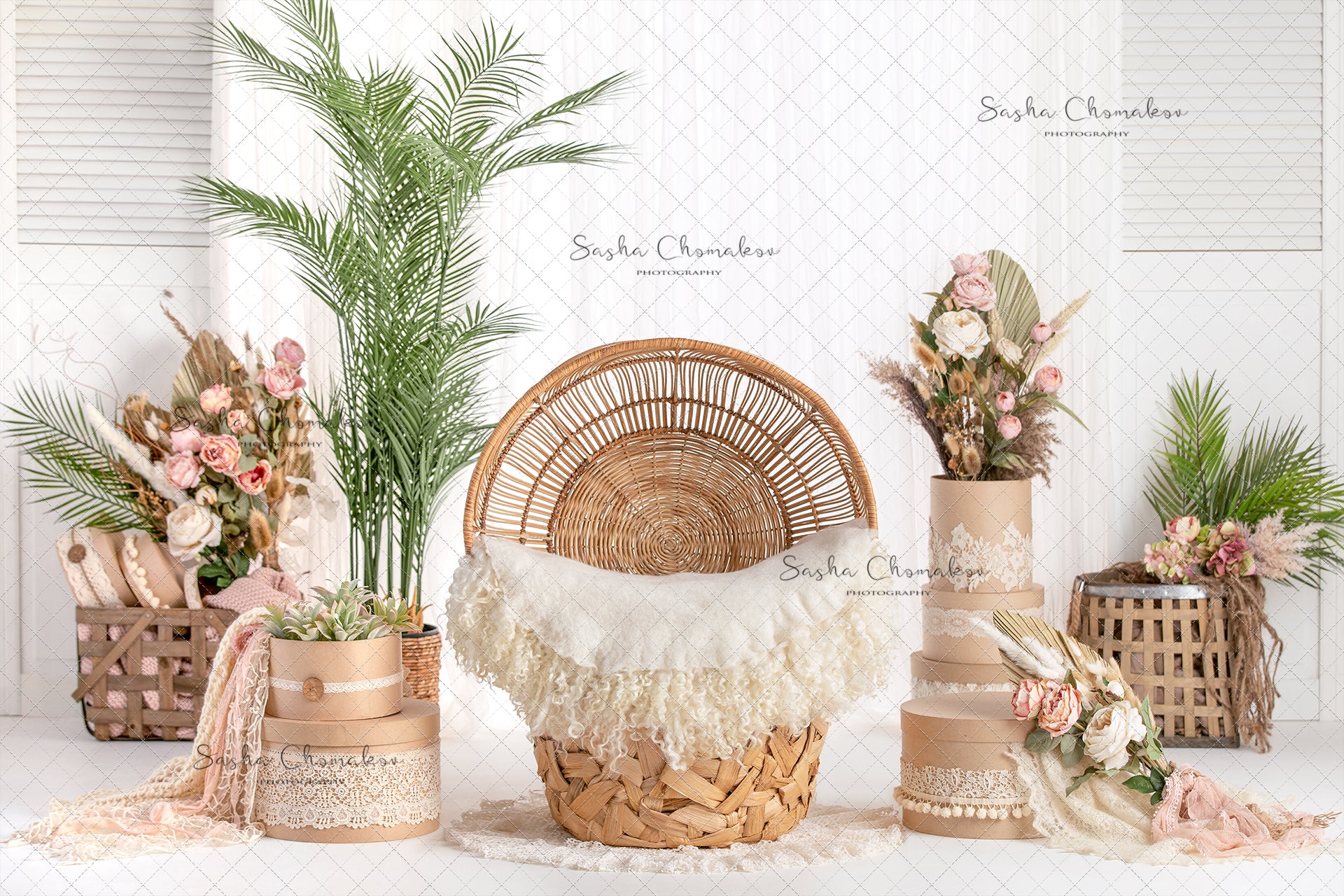 Digital Backdrop