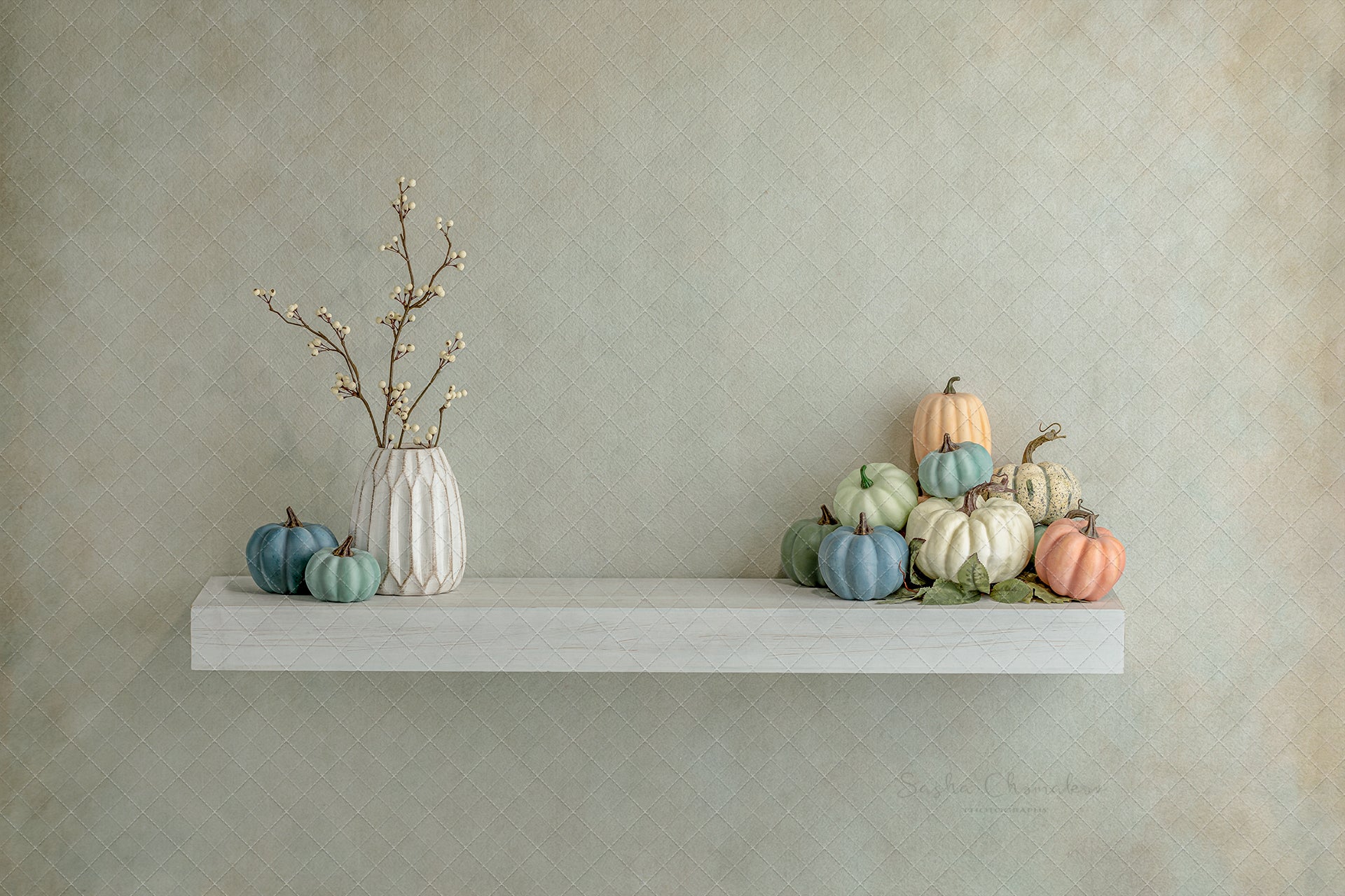 Digital Backdrop