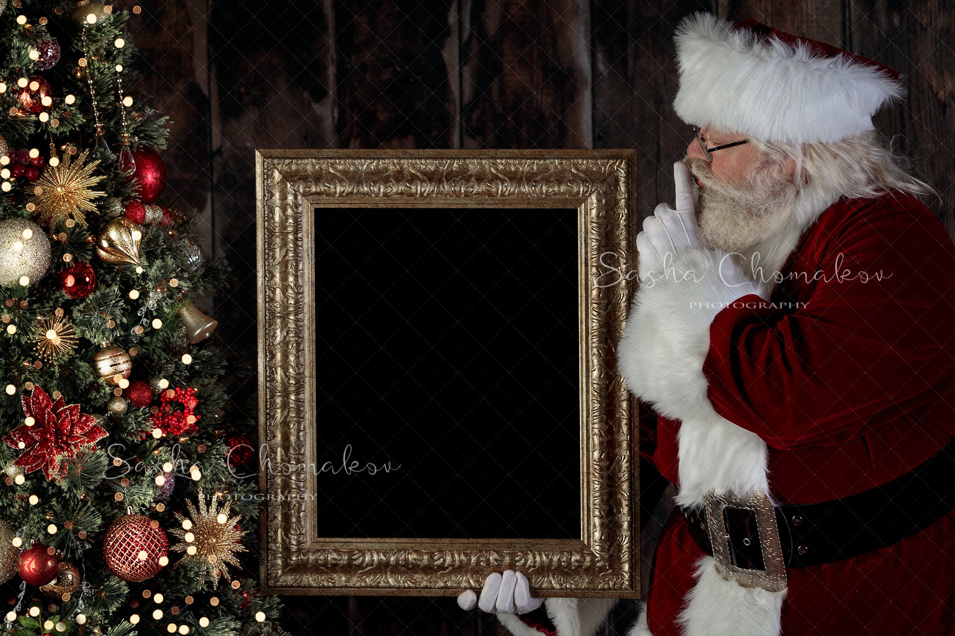 Digital Backdrop