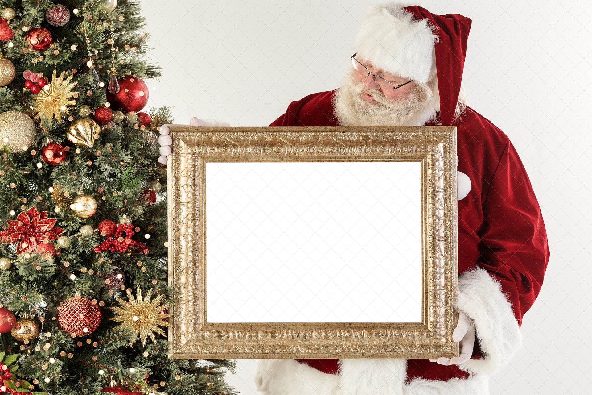 Digital Backdrop