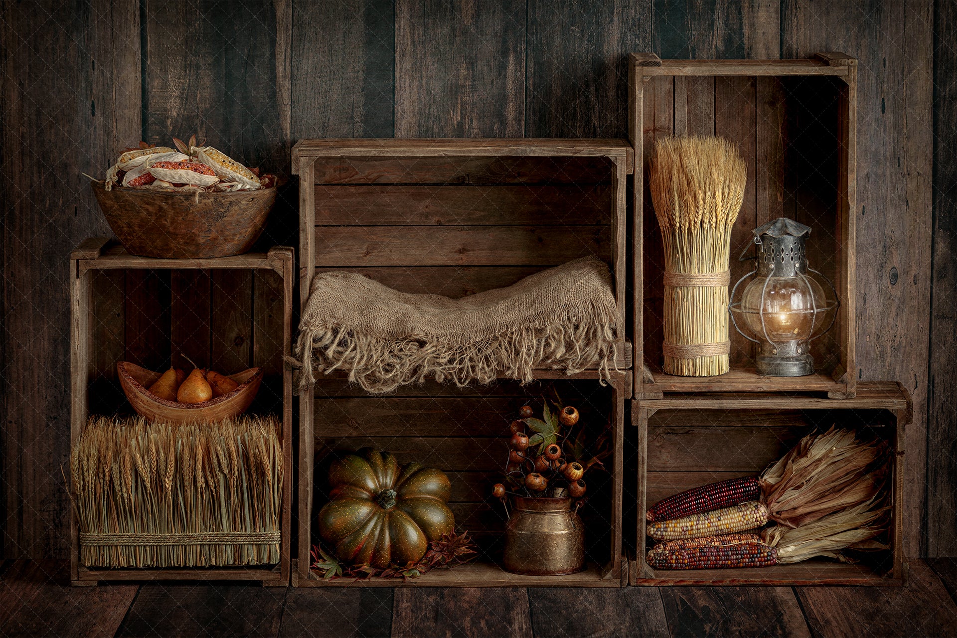 Digital Backdrop