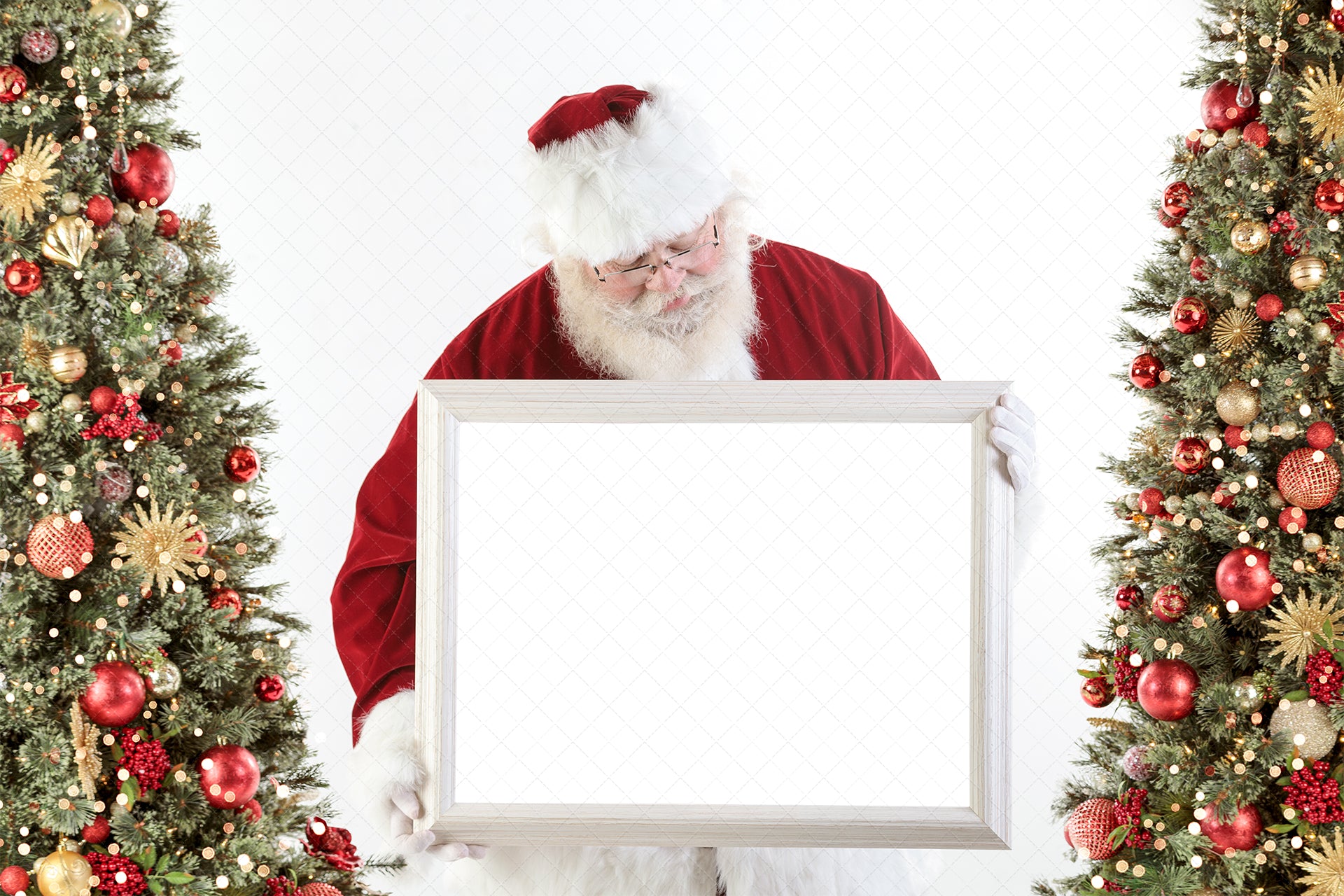 Digital Backdrop