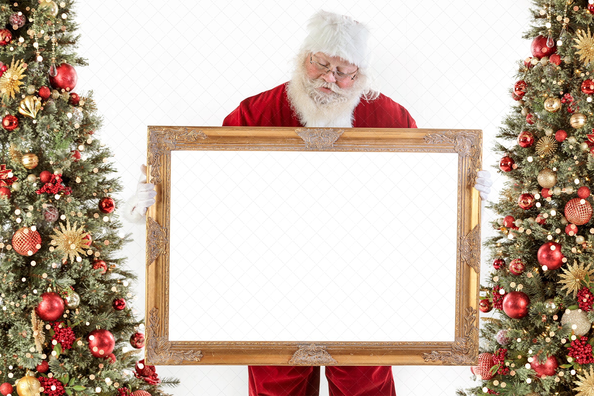 Digital Backdrop