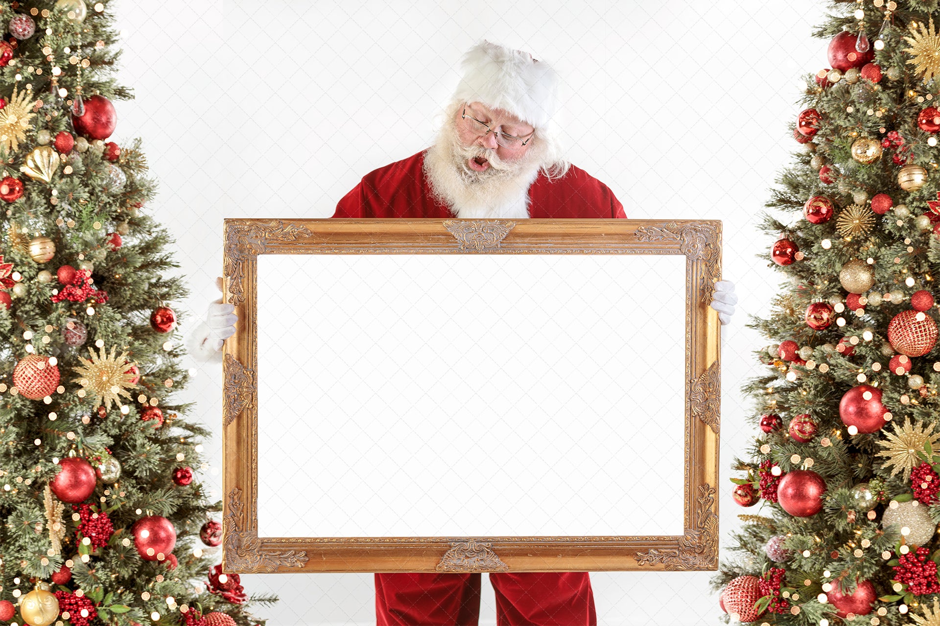 Digital Backdrop