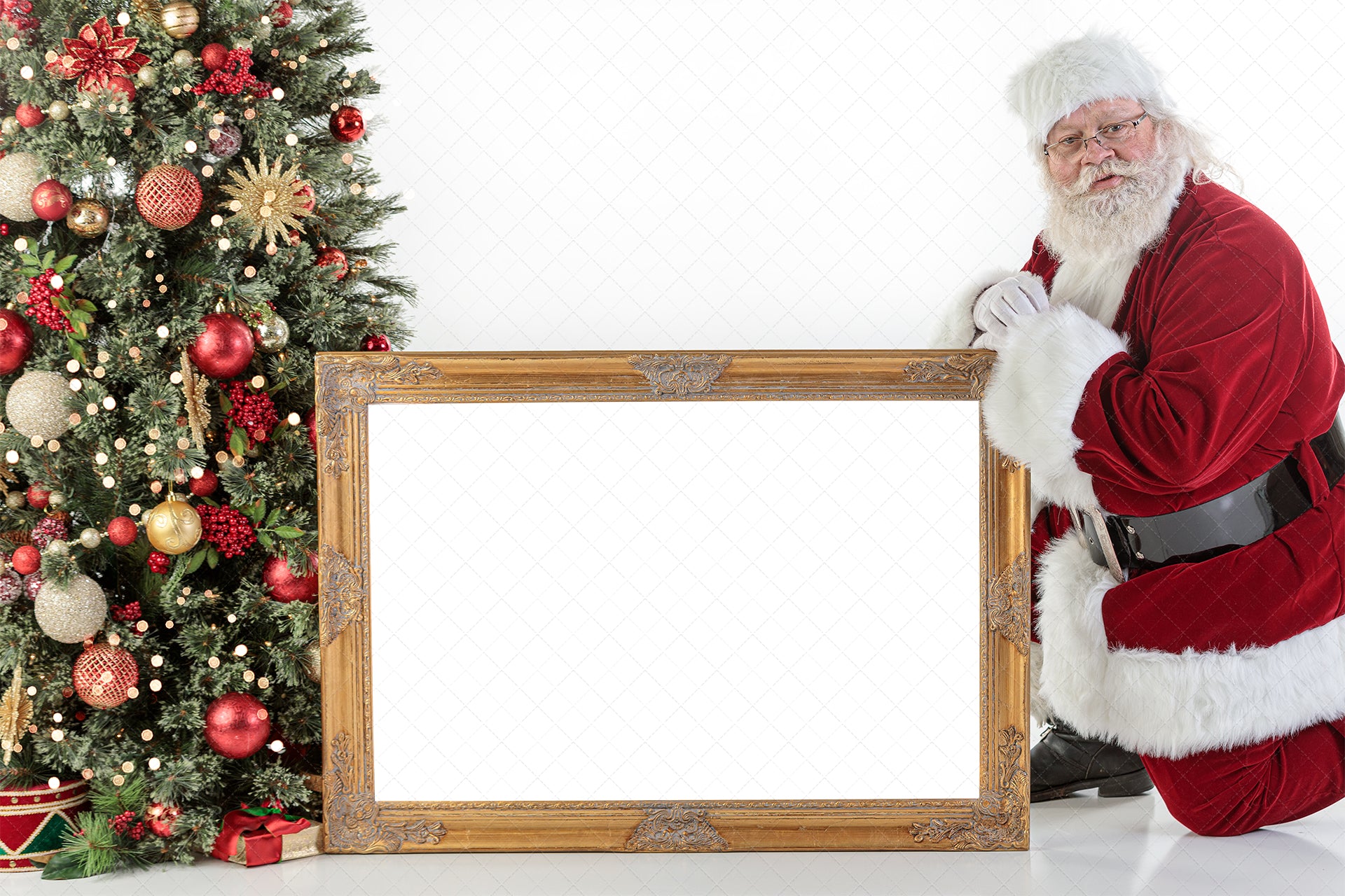 Digital Backdrop