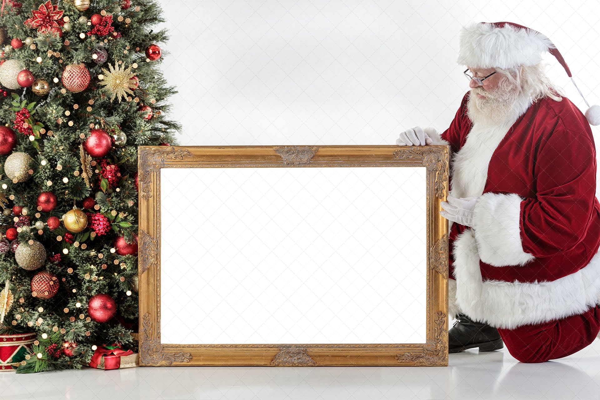 Digital Backdrop