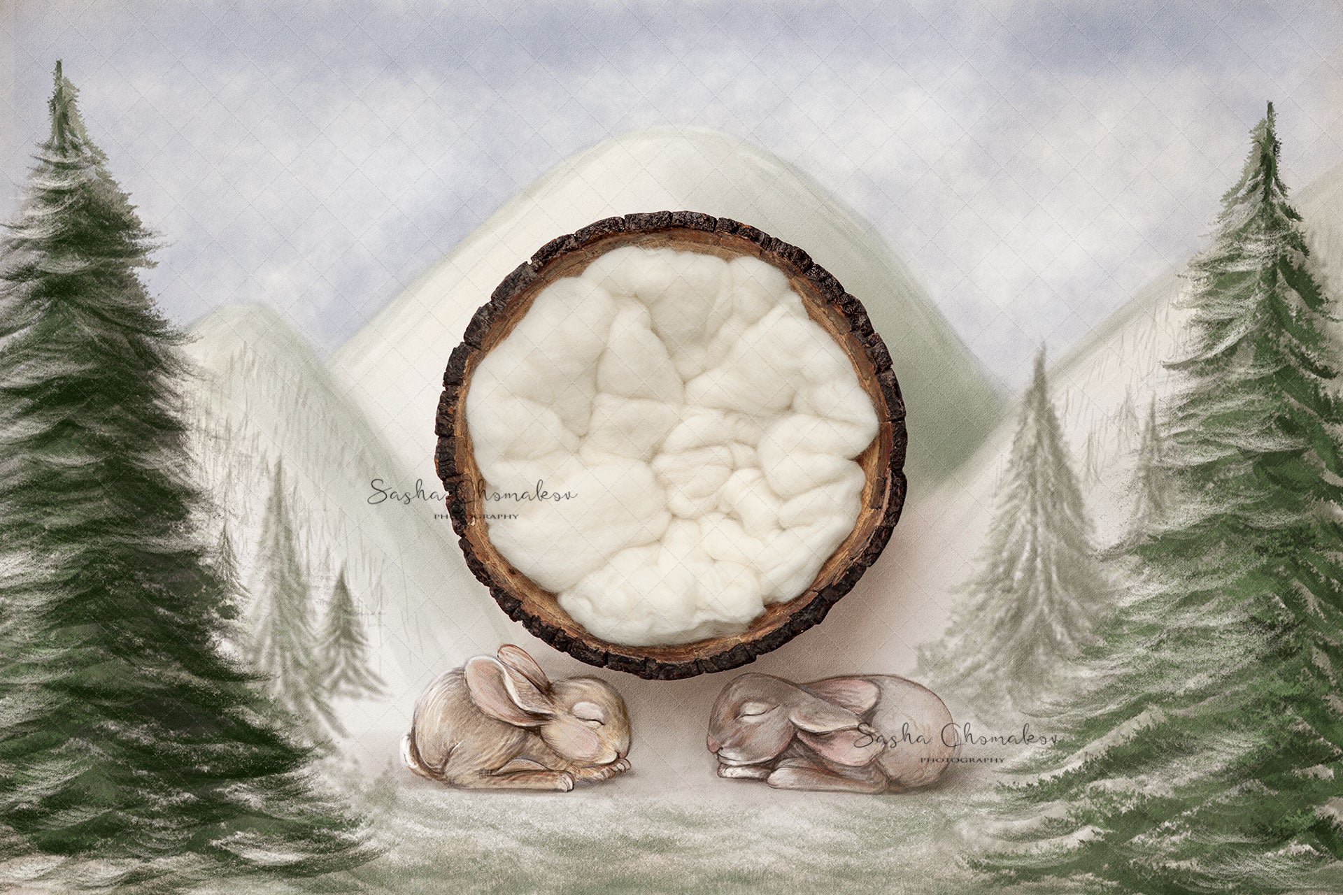 Digital Backdrop